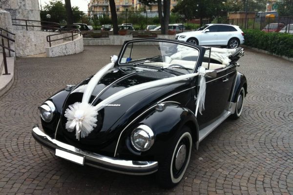 maggiolino2